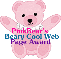 Pink Teddy