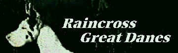 raincross great danes