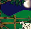 Sheep jump fence
