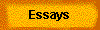 Essays 