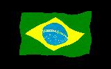 Bra.gif (136285 bytes)