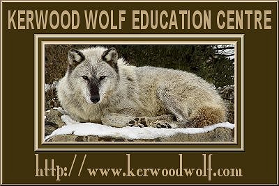 Kerwood Wolf Education Centre