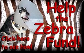 Story of Zebras Fund
