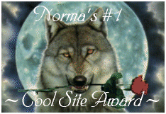 Cool Site Award