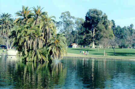 Beautiful fishing lake