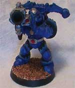 Can't see the forest for the trees?