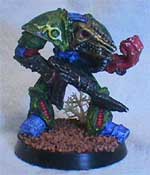 Can't see the forest for the trees?