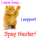 Save Lives Spay!