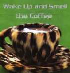 The Cranberries - Wake Up and Smell the Coffee (New Album 2001)