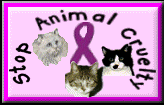 stop animal cruelty