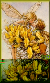 Two Faeries sharing a kiss