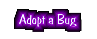 Adopt a Bug