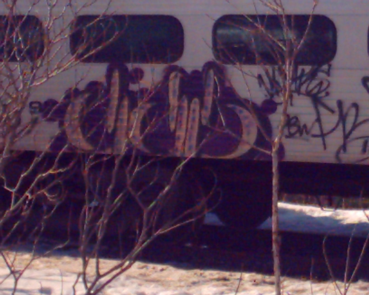 Image of SUNP0028.JPG