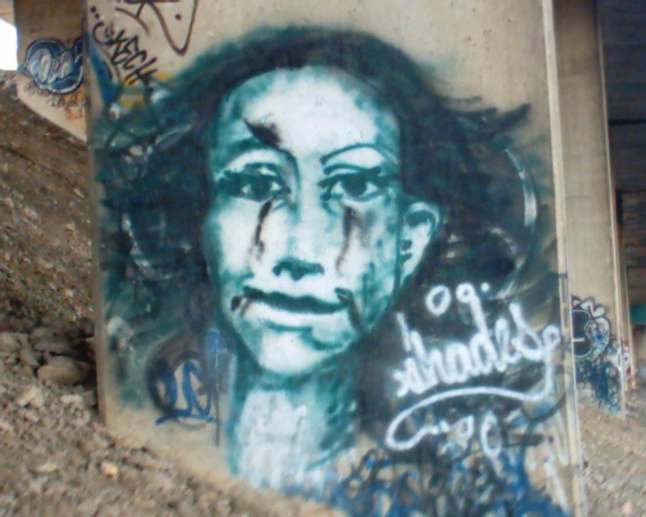 Image of shades2.JPG