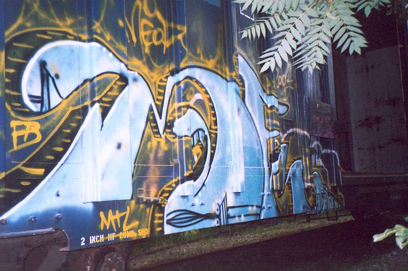 Image of tropical_icfr8.jpg