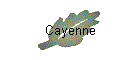Cayenne