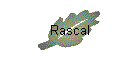 Rascal