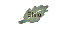 Shilo