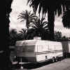 Trailer Palm Tree.JPG (30793 bytes)