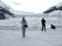 ATHABASCA GLACIER 3.JPG (161699 bytes)