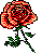 rose img