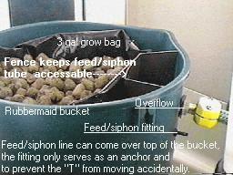 A section of vinyl rain gutter is used as a fence, the Geolite media is in a 3 gallon grow bag.