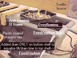 planter with growbag