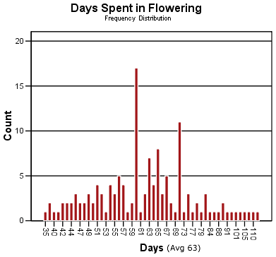 Frequency Distribution Chart
