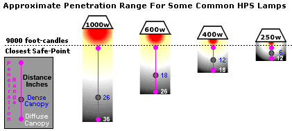 Appx penetration ranges