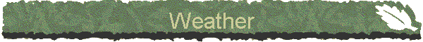Weather