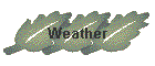 Weather