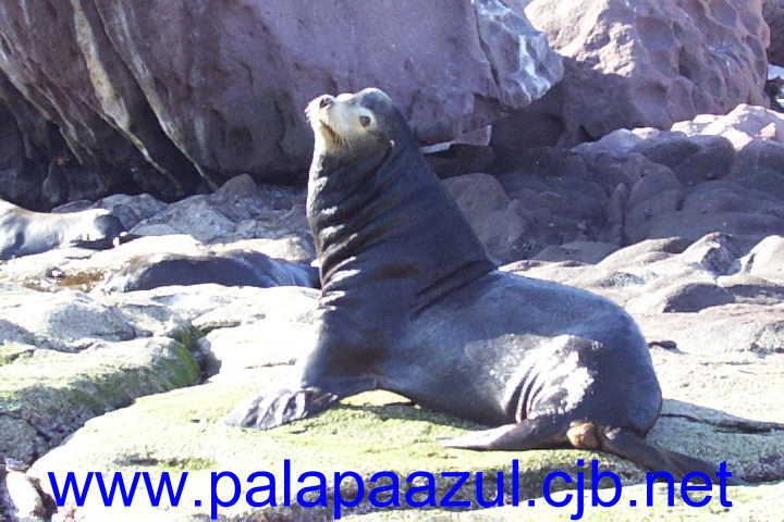 Photo by Dalane Veloso