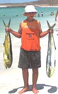 Photo by Dalane Veloso