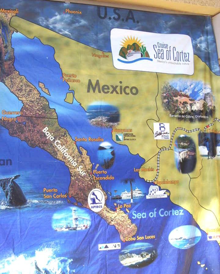 Photo by Dalane Veloso