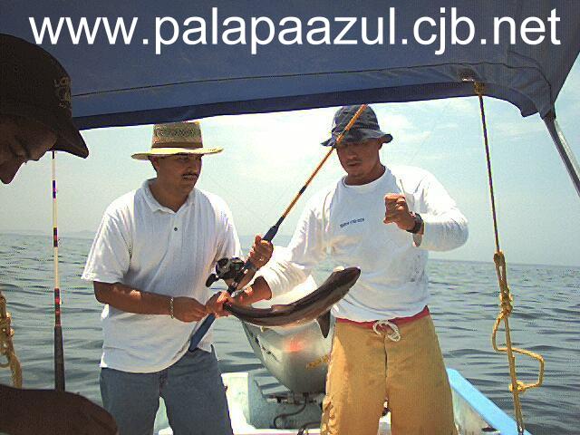 Photo by Dalane Veloso