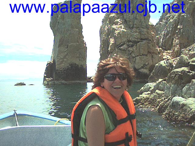 Photo by Dalane Veloso