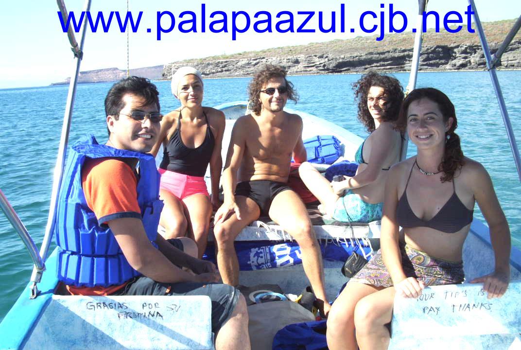 Photo by Dalane Veloso