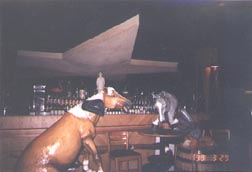 The World Famous Wildhorse Saloon!
