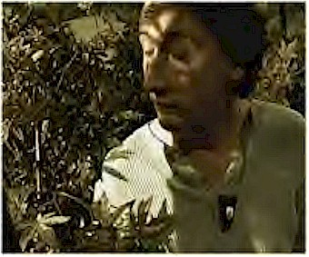 From "Lock, Stock, and Two Smoking Barrels"