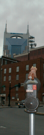 Bessie takes in the Nashville skyline from atop a parking meter
