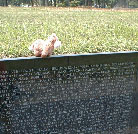 Bessie paying her respect at the Vietnam Memorial