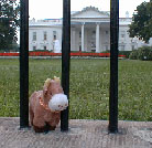 Bessie at the White House