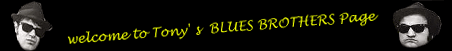 Tony's Blues Brothers Page!