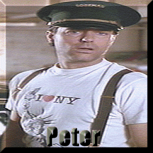 The Peter Aykroyd Experience