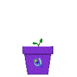 The Site Fights Spirit Flowers