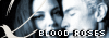 Blood Roses