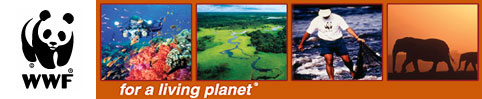 World Wide Fund - for Nature .   World Wildlife Fund