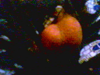 why you shouldn't take pictures of your private parts.