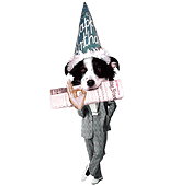 berner.gif (4377 bytes)