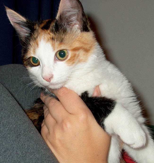 turisti1.jpg (79686 bytes)